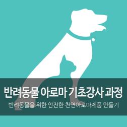 반려동물아로마 기초강사 이미지