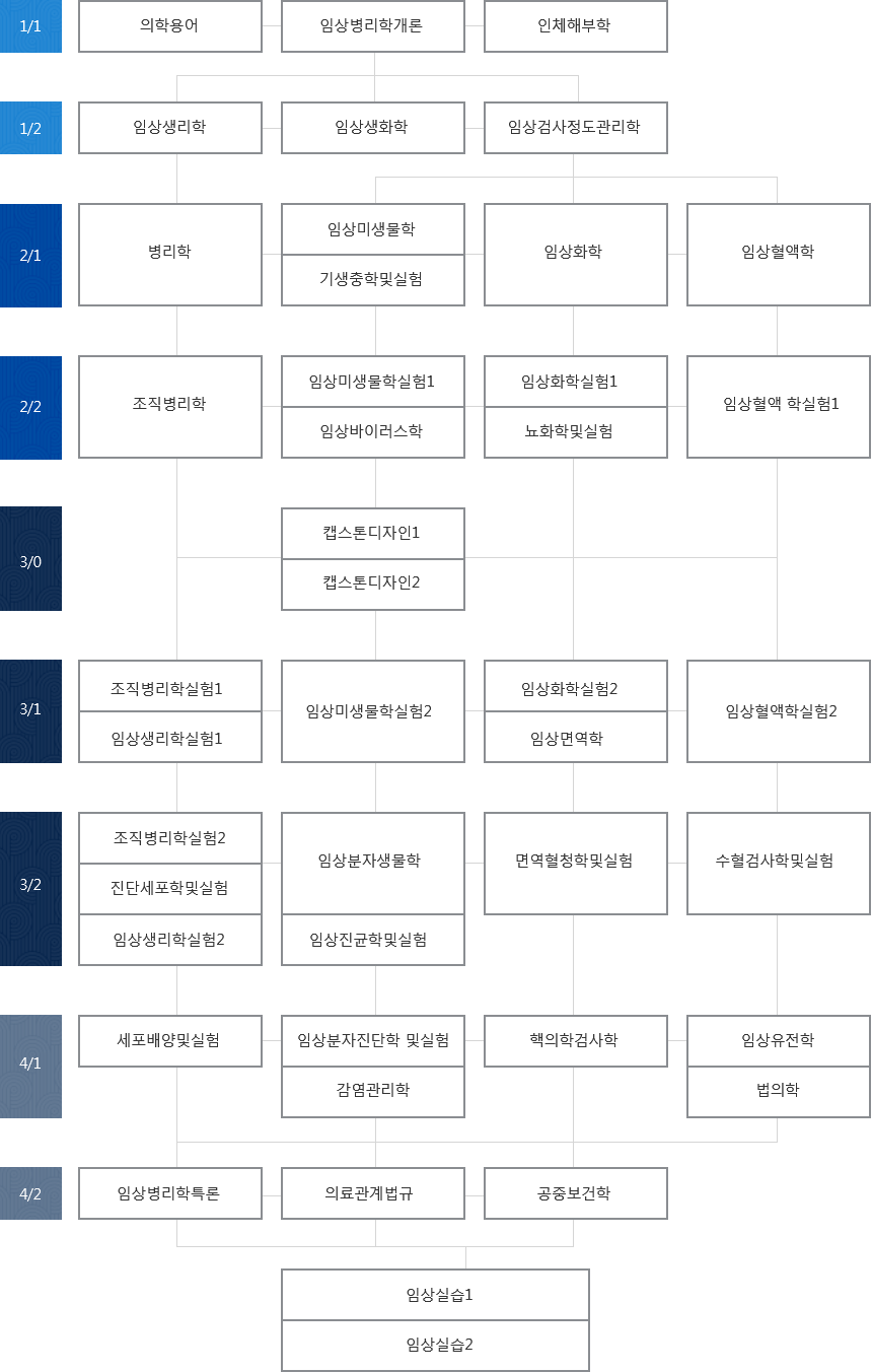 1/1 - 의학용여, 임상병리학개론, 인체해부학, 1/2 - 임상생리학, 임상생화학, 임상검사정도관리학, 2/1 - 병리학, (임상미생물학, 기생출학 및 실험), 임상화학, 임상혈액학, 2-2 - 조직병리학, (임상미생물학실험1, 임상바이러스학), (임상화학실험1, 뇨화학및실험), 임상혈액학실험1, 3/0 - (캡스톤디자인1, 캡스톤디자인2), 3/1 - (조직병리학실험1, 임상생리학실험1), 임상미생물학실험2, (임상화학실험2, 임상면역학), 임상혈액학실험2, 3/2 - (조직병리학실험2, 진단세포학및실험, 임상생리학실험2), (임상분자생물학, 임상진균학및실험), 면역혈청학및실험, 수혈검사학및실험, 4/1 - 세포배양및실험, (임상분자진단학 및 실험, 감염관리학), 핵의학검사학, (임상유전학, 법의학), 4/2 - 임상병리학특론, 의료관계법규, 공중보건학, (임상실습1, 임상실습2)