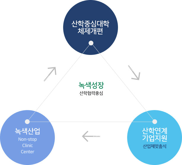 4차 산업혁명 시대 산학협력중심 - 산학중심대학 체제개편, AI, IoT 혁신기술(Non-stop Clinic Center), 산학연계 기업지원(산업체 맞춤식)
